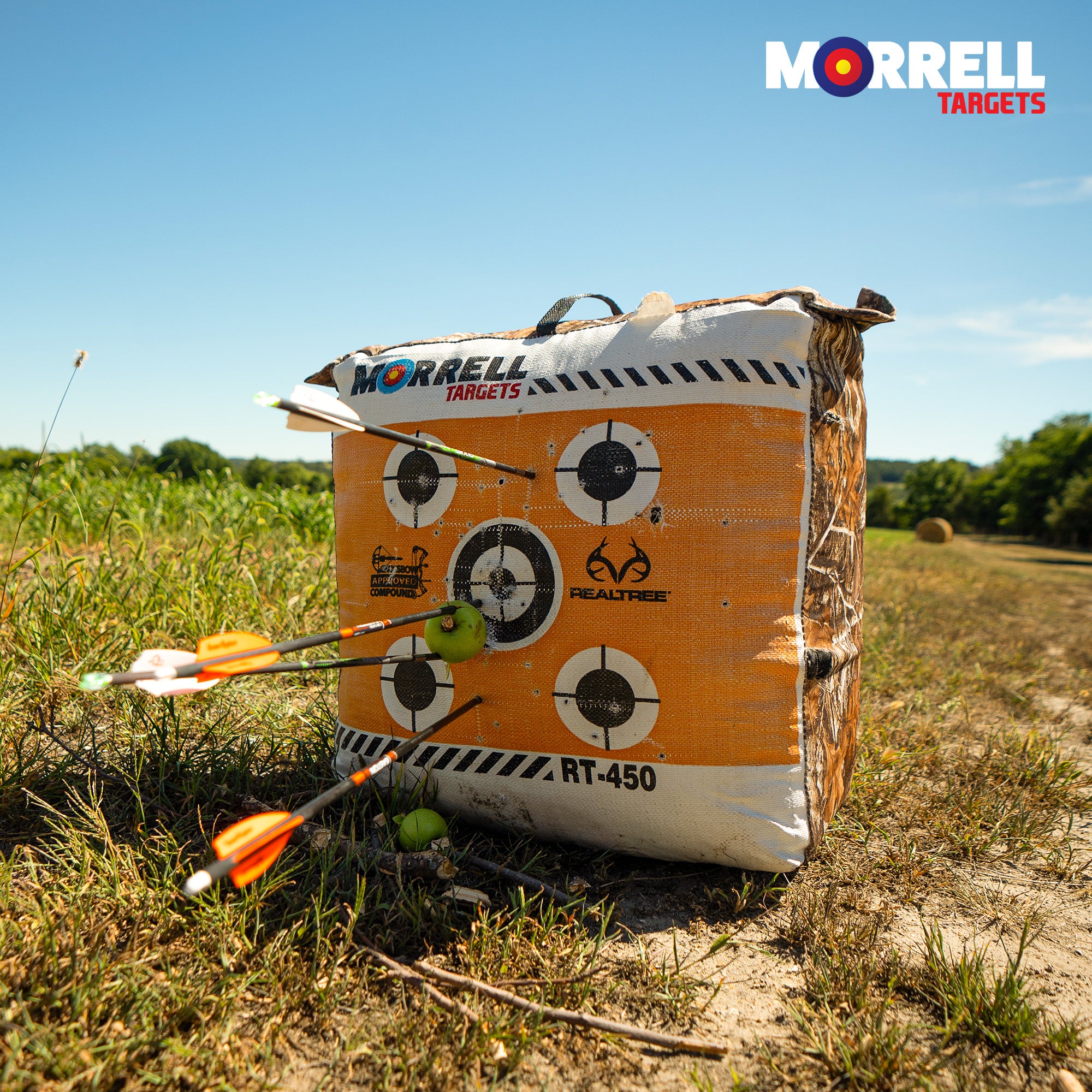 Morrell Targets 2 Sided Archery Bag Target, E Z Handle, Edge Camouflage, 3 Pack
