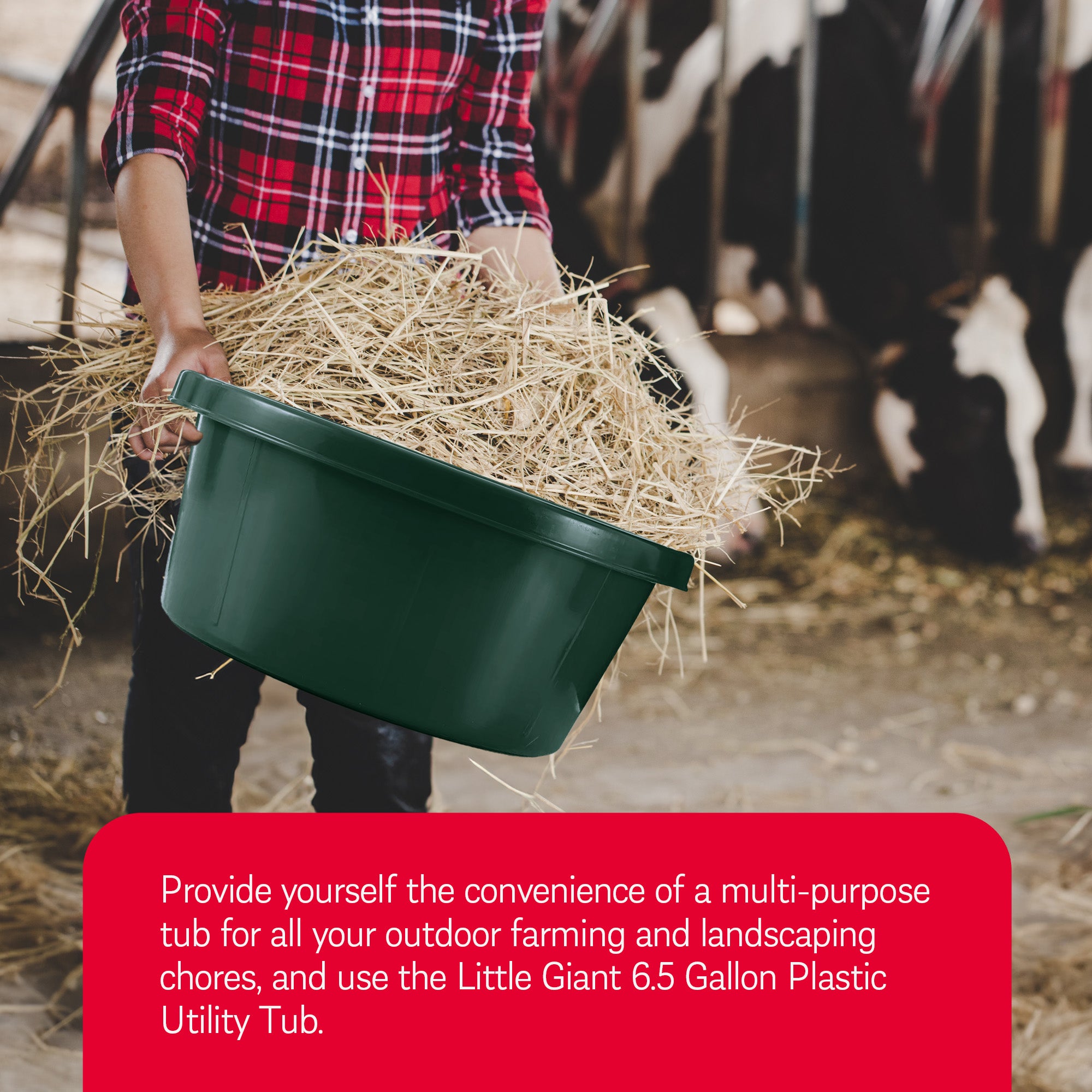 Little Giant 6.5 Gallon Plastic All Purpose Farm and Ranch Utility Tub (Used) - VMInnovations