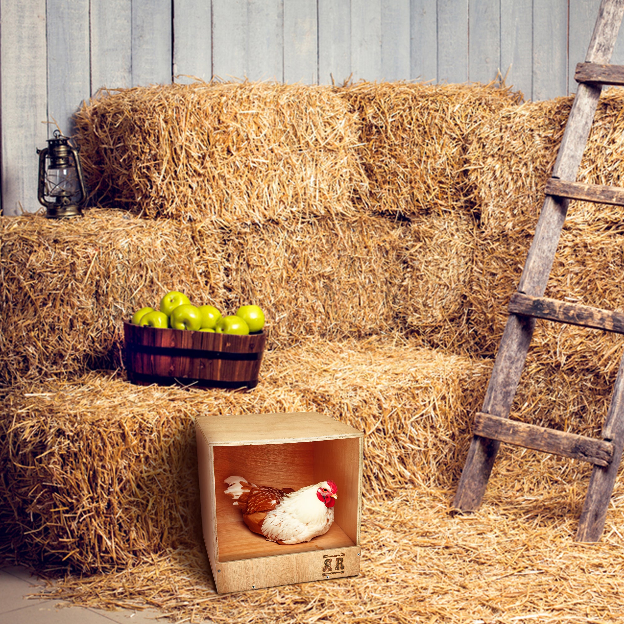 Rugged Range Products Studio Chicken Coop Interior Nesting Box for 1 to 2 Hens - VMInnovations