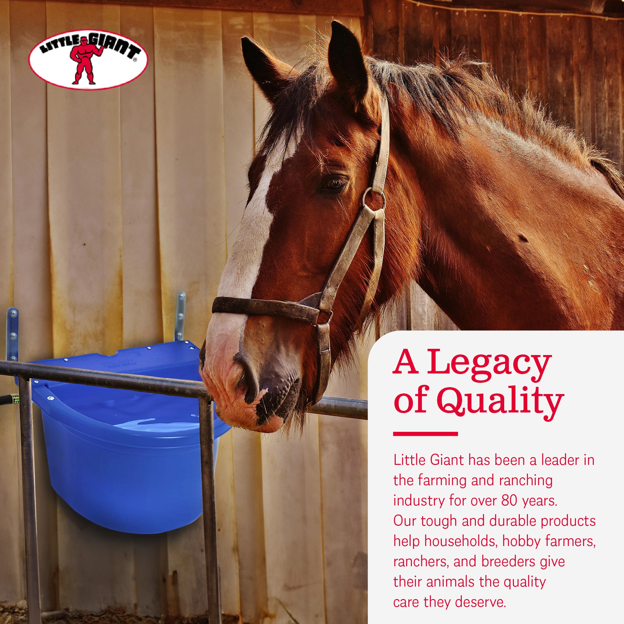 Little Giant 4 Gal. Float Controlled Waterer Livestock Water Trough (Open Box) - VMInnovations