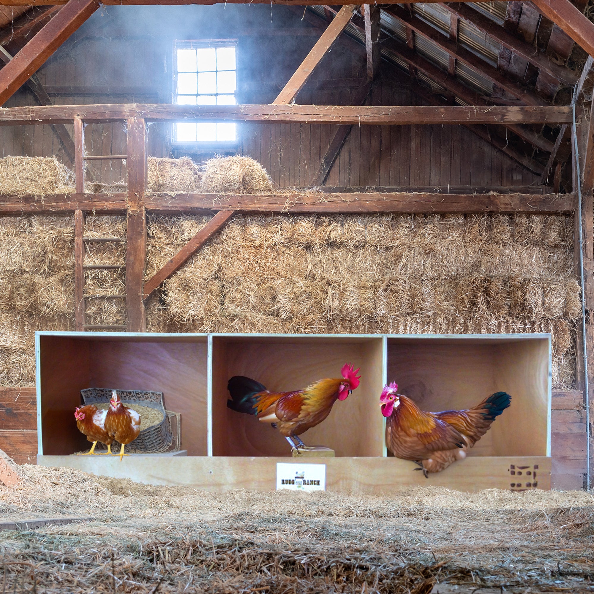 Rugged Ranch RuggEgg Barn Wooden Chicken Coop Triple Nesting Egg Boxes(Open Box) - VMInnovations