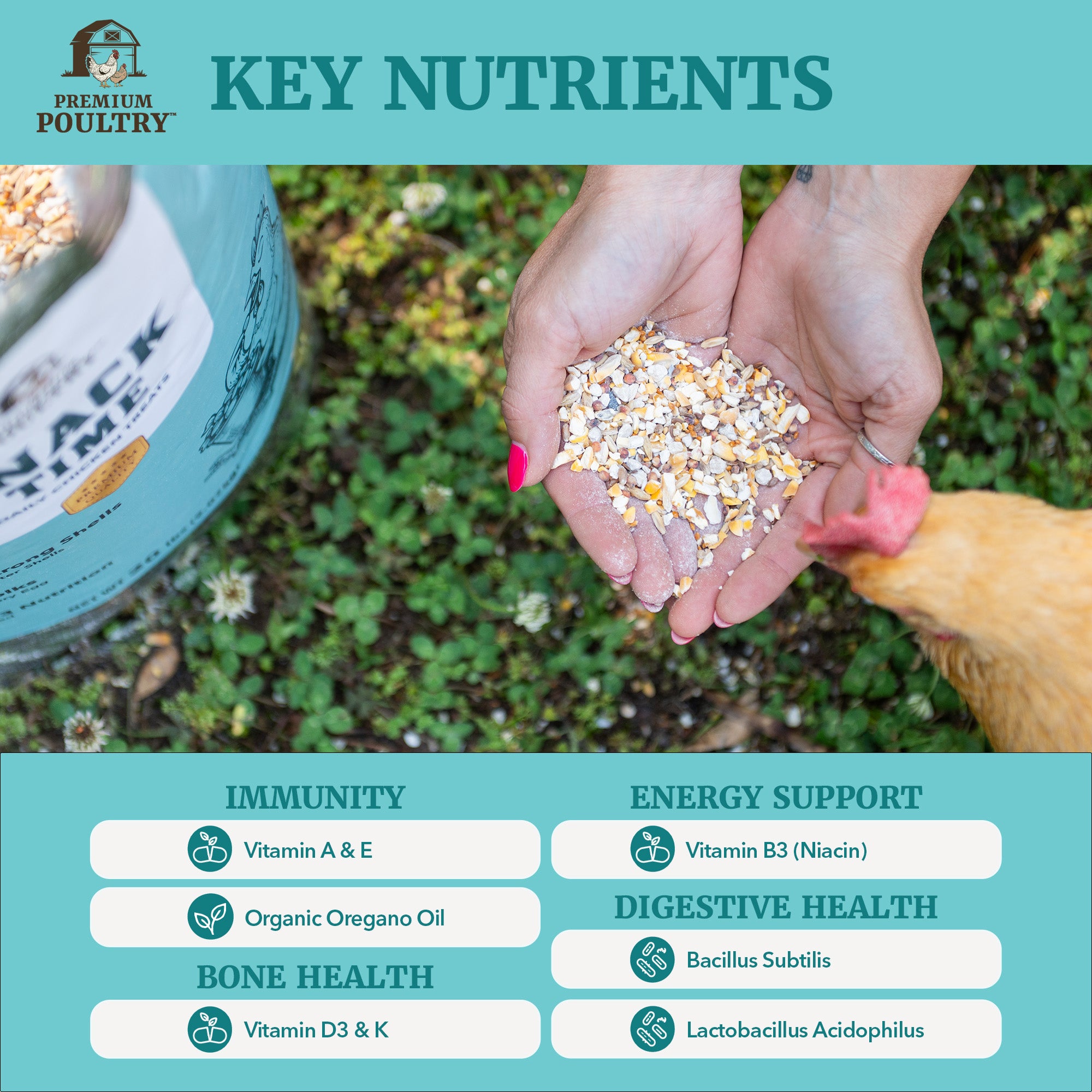Premium Poultry Snack Time Treat Mix, Supports Egg Shells & Yolk Color, 20 Lb
