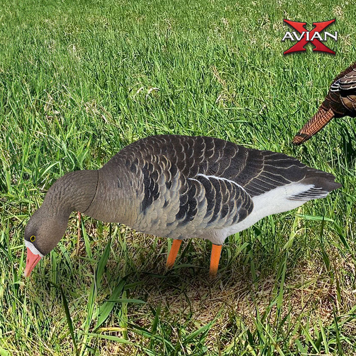 Avian X AVF Specklebelly Fusion Pack with Custom Fitted Bag for Hunting Use - VMInnovations