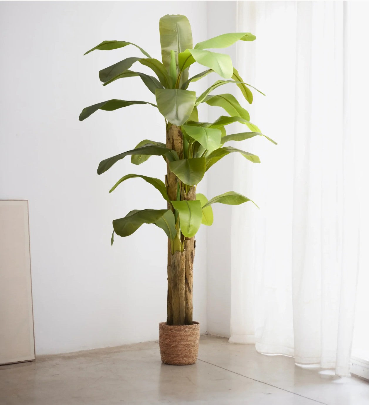 Maia Shop Artificial Banana Tree 7 Feet Tall Tropical Home Decoration, 83 Inches