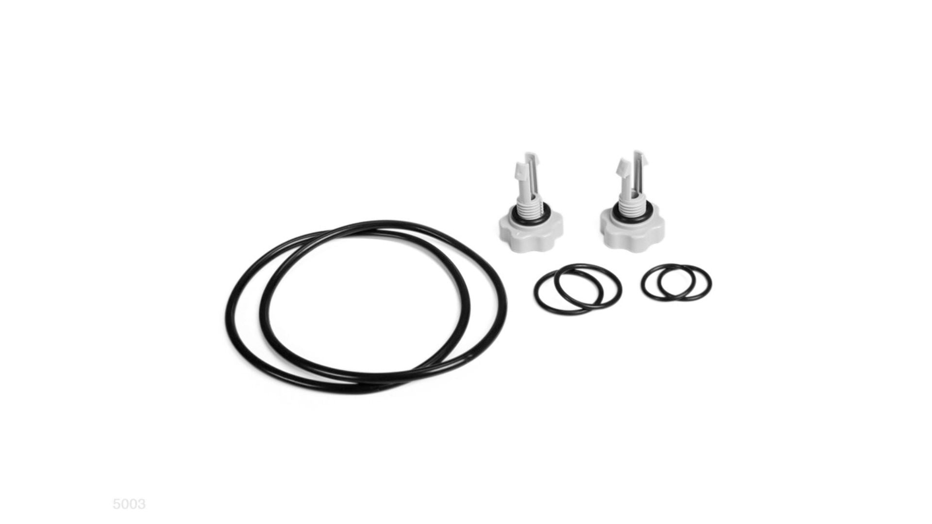 Intex 25003 1500 gal and Below Filter Pump Replacement Seals Pack Parts