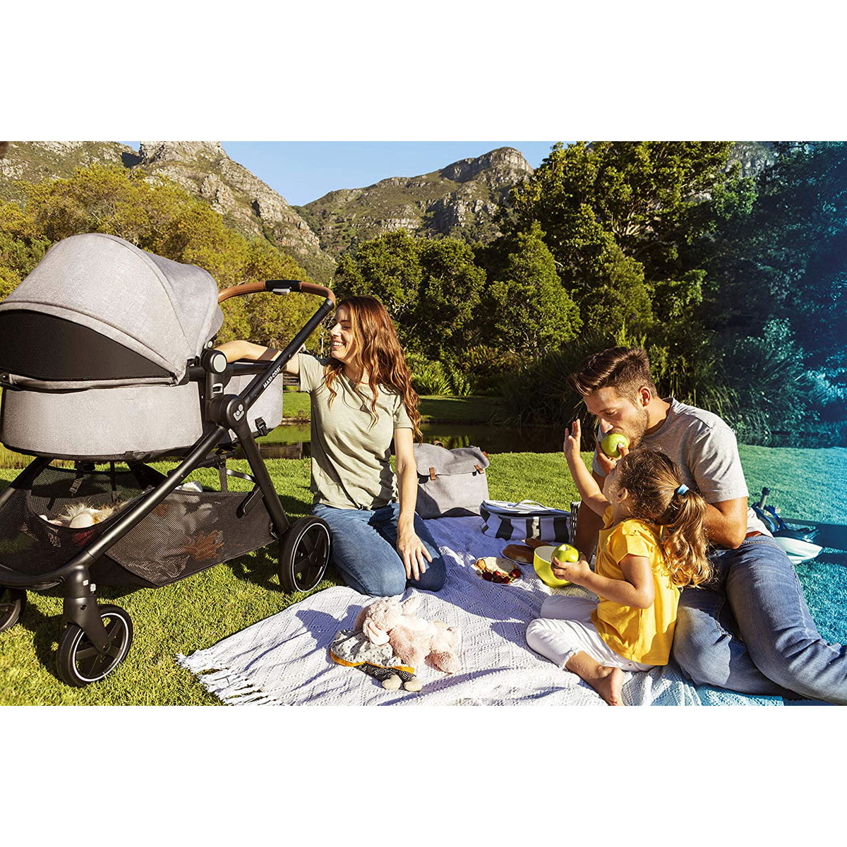 Maxi-Cosi Zelia 5 in 1 Max Travel System Stroller w/ Mico Max 30 Car Seat, Gray - VMInnovations