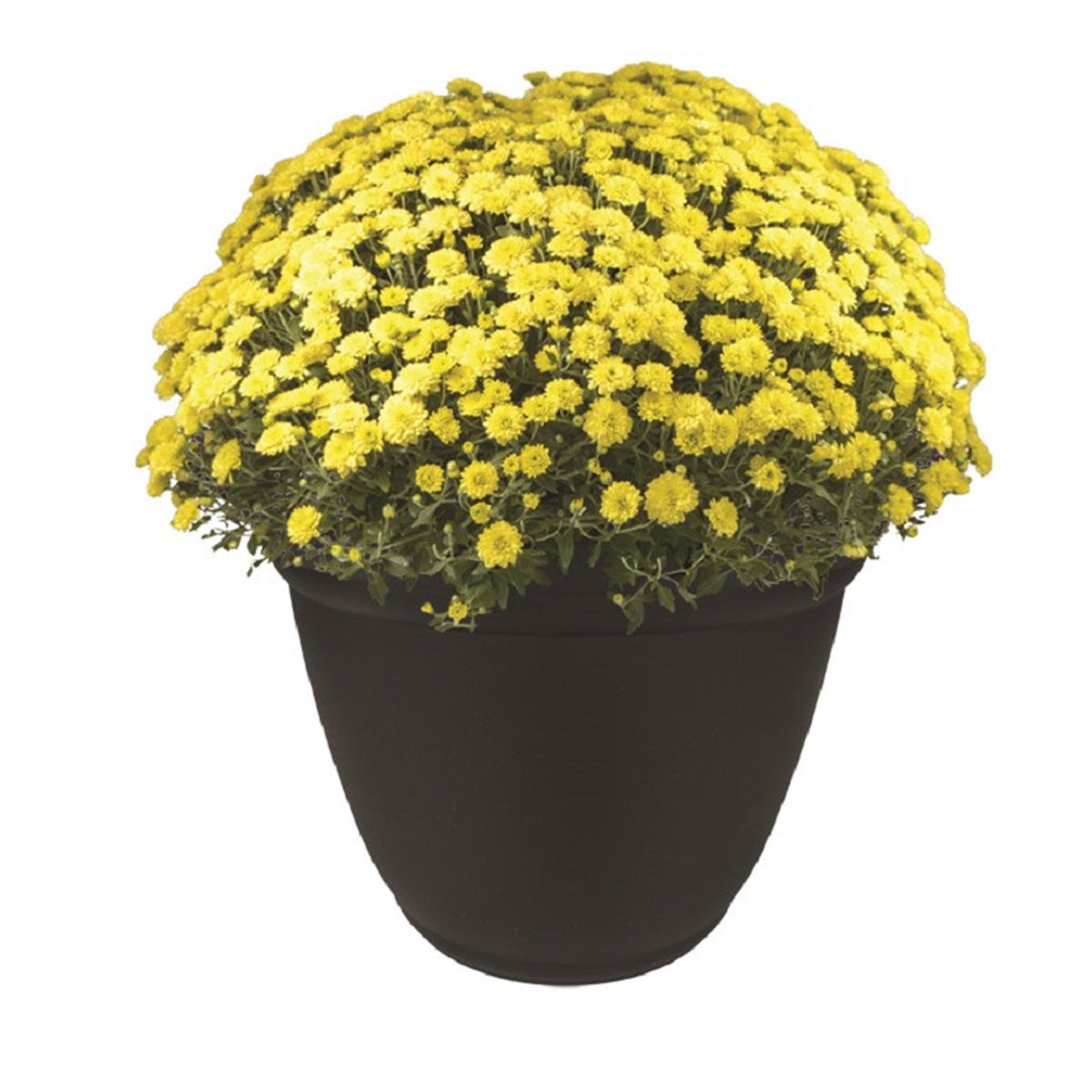 The HC Companies 24" Mojave Round Outdoor Flower Planter, Chocolate (Open Box)