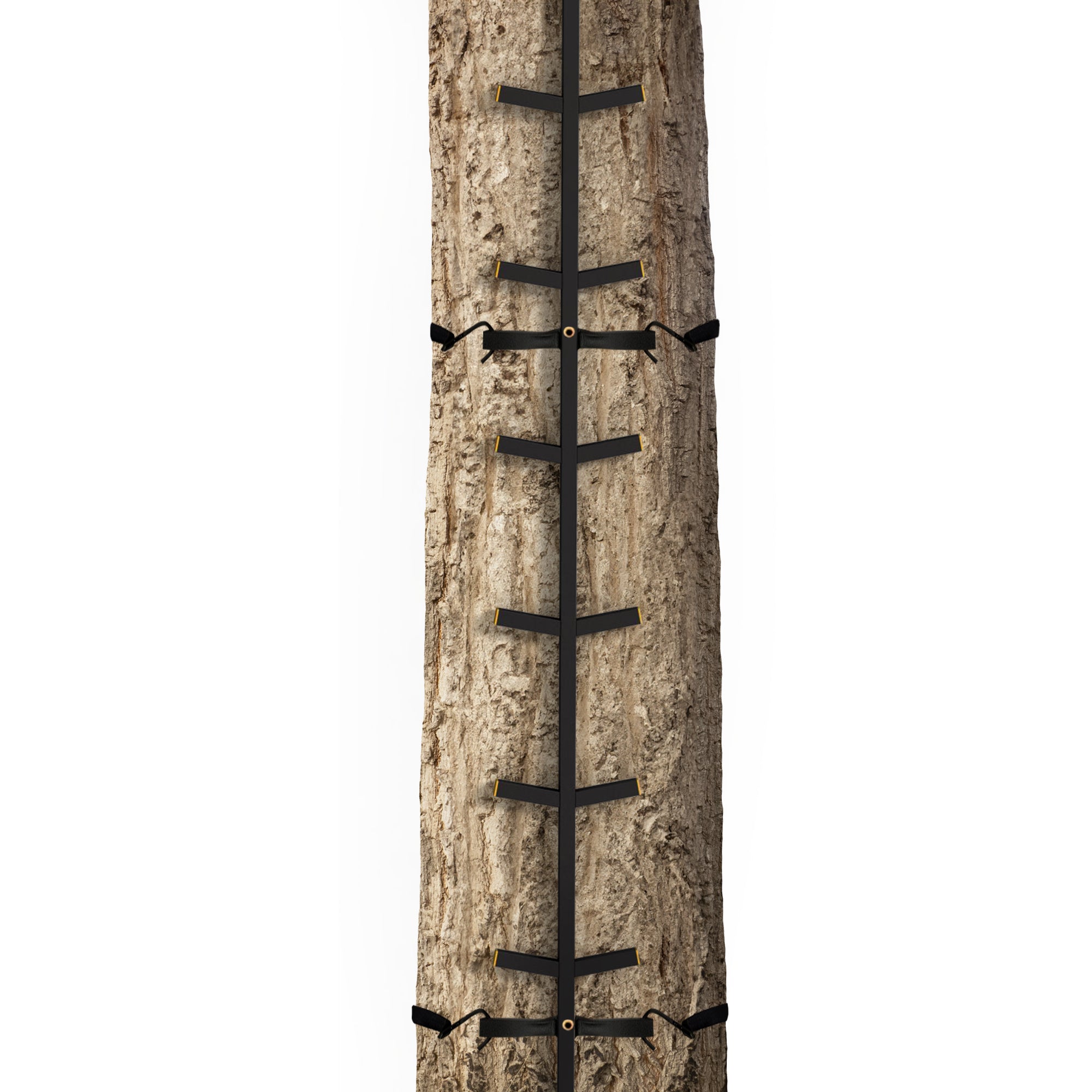 Muddy Outdoors Quick Stick XL Climbing Stick w/Powder Coated Finish, Black(Used) - VMInnovations