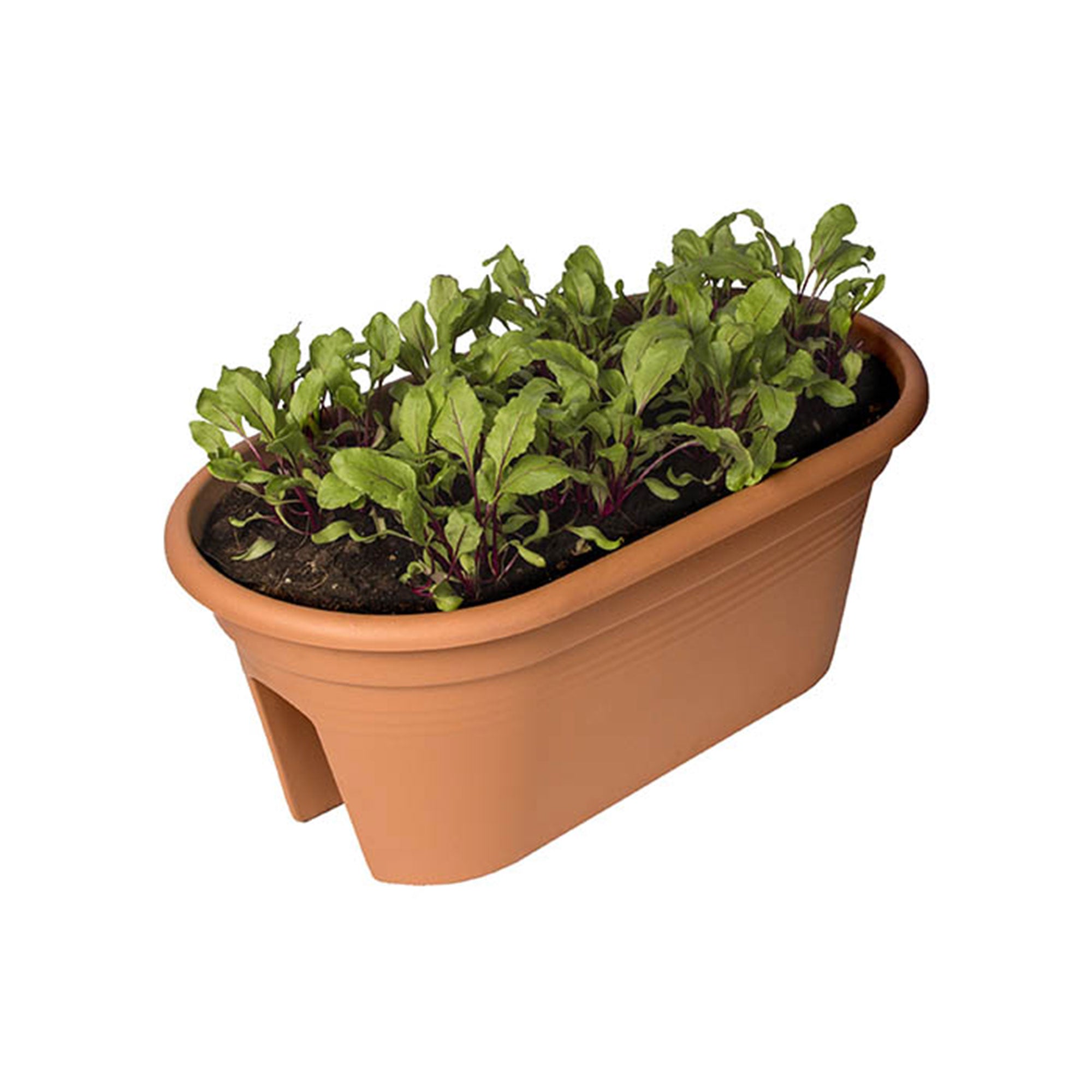 Exaco Trading Oval Terra Bridge Planter with Cover and 2 Vents, Terra Cotta