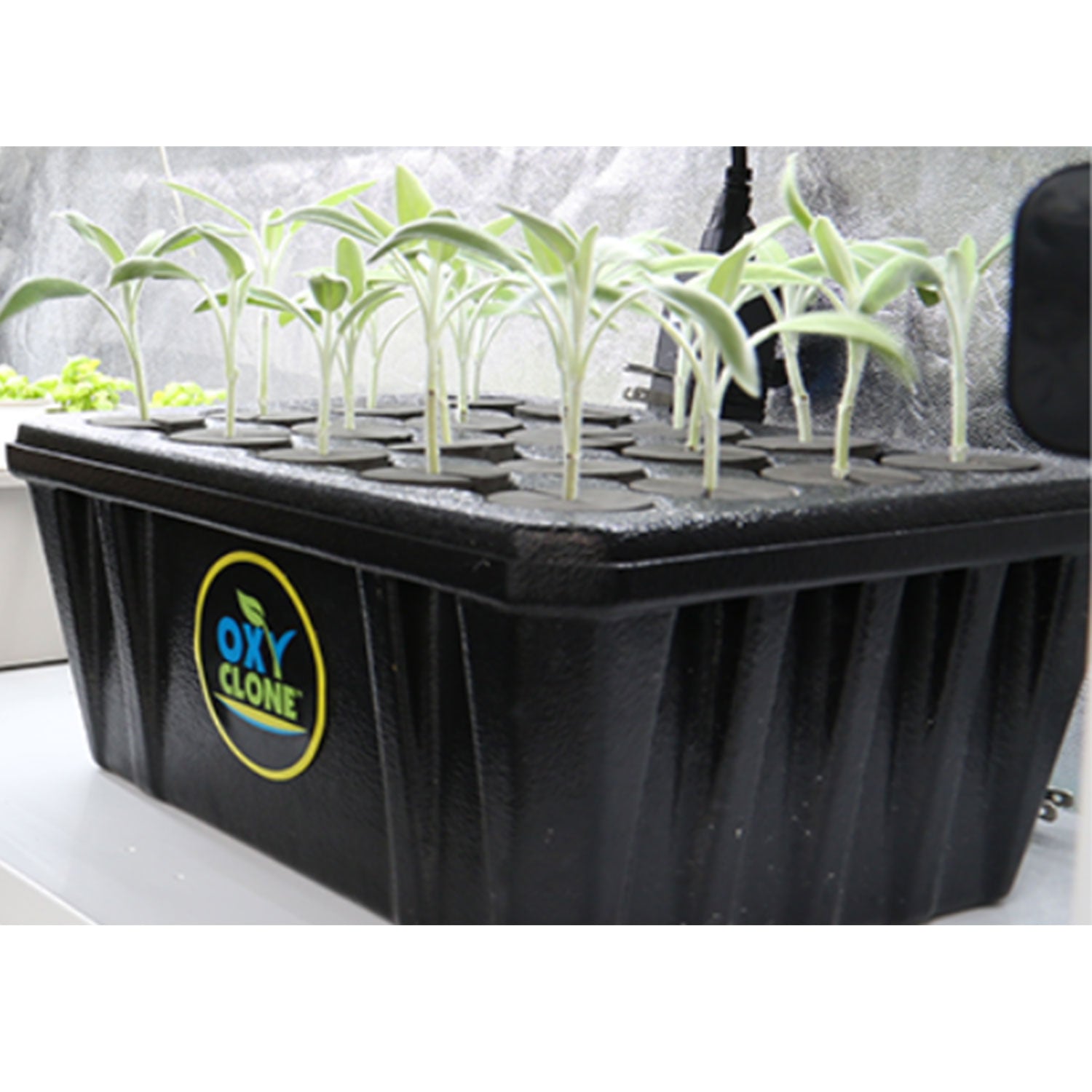 Hydrofarm 20 Site Hydroponics Compact Recirculating Cloning System Kit(Open Box) - VMInnovations