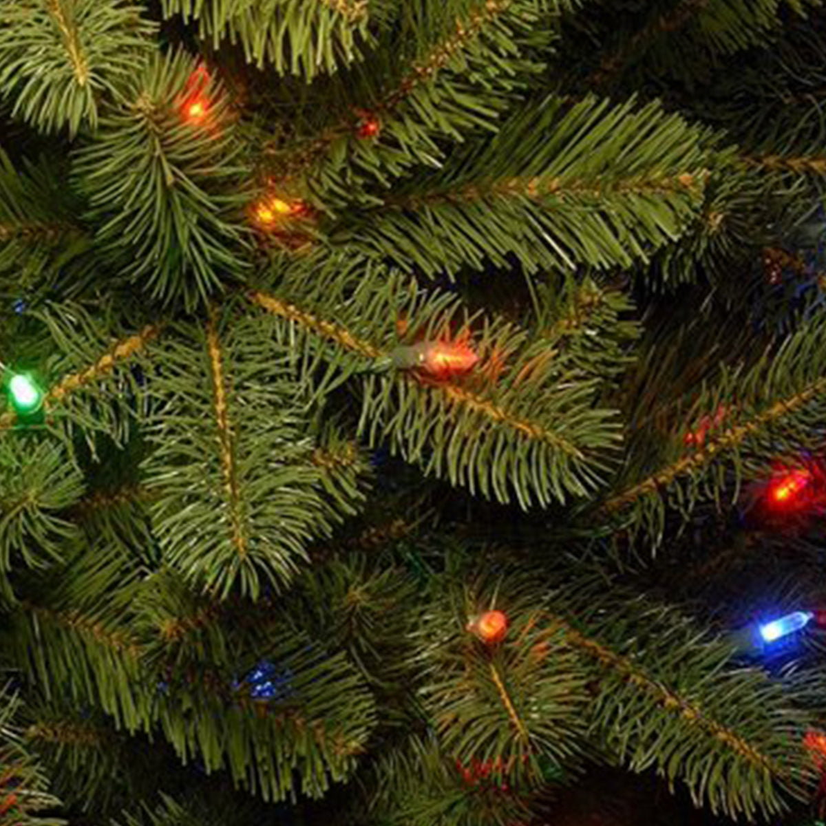 National Tree Company Downswept Douglas Fir 10' Prelit Artificial Christmas Tree