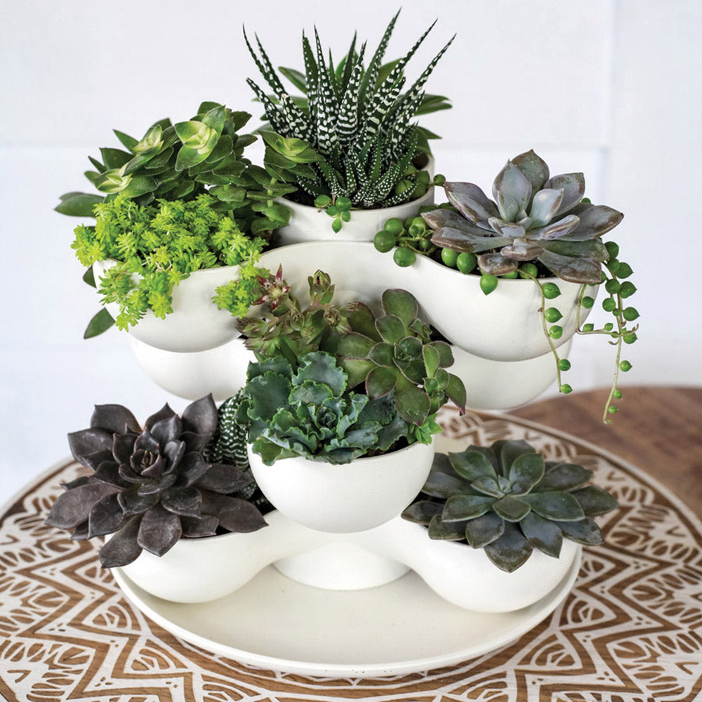 The HC Companies 8" Pixie Indoor Stacking Succulent Planter Pot, Artisan Taupe