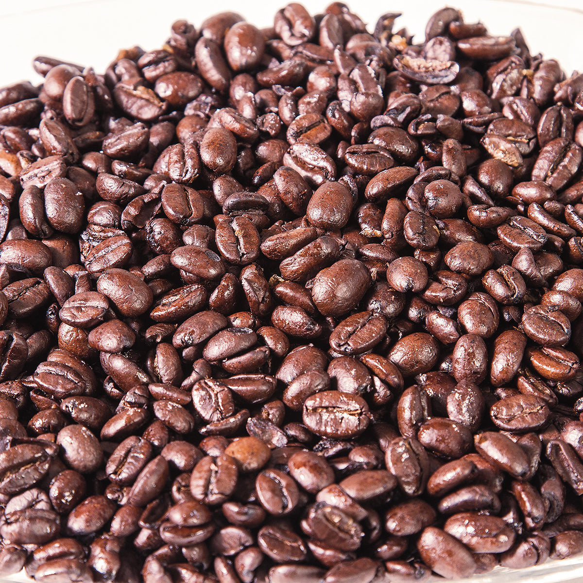 Progressive International Coffee ProKeeper Storage Container, Tinted (Open Box) - VMInnovations