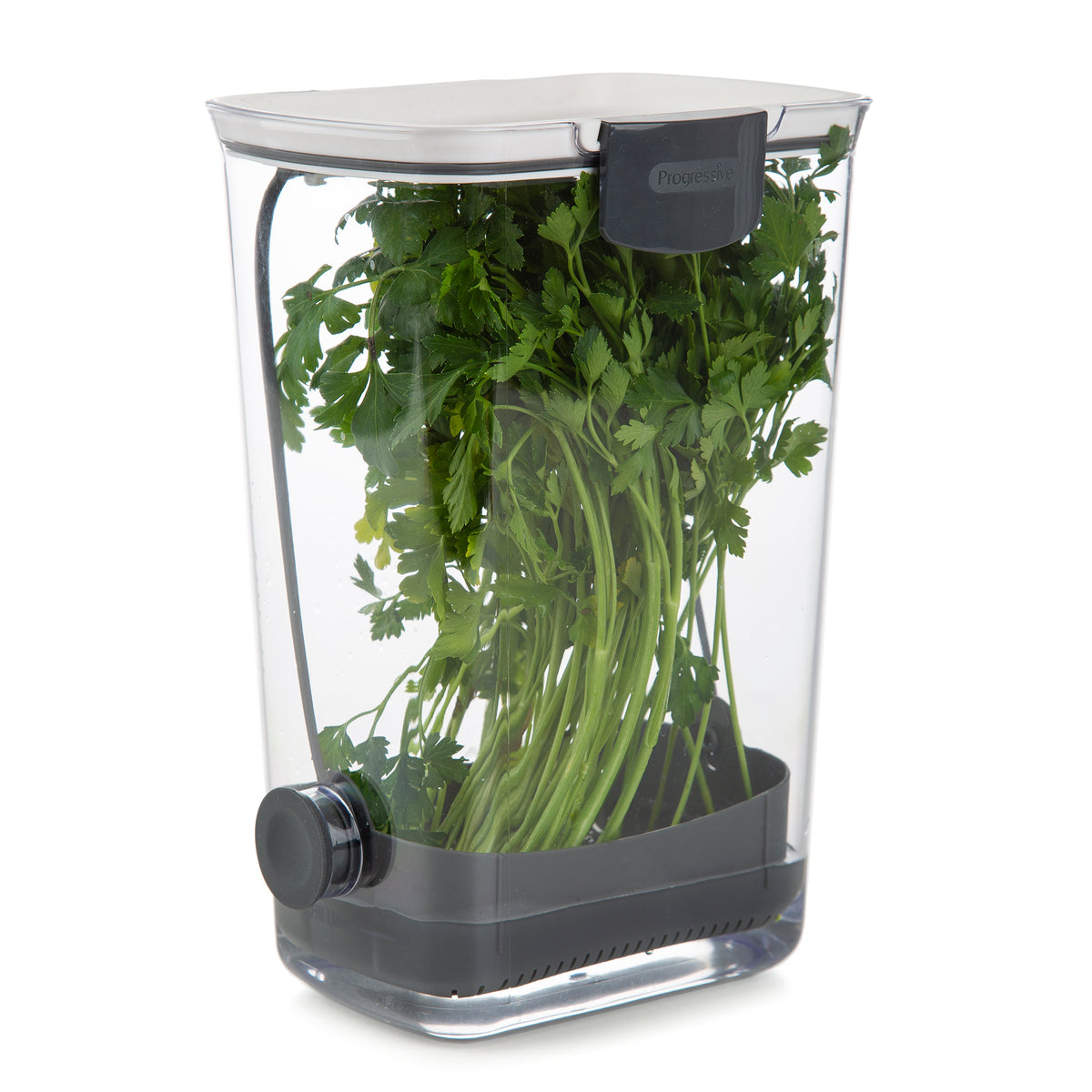 Progressive International Plastic ProKeeper Herb Keeper, 1 Piece, White (Used)