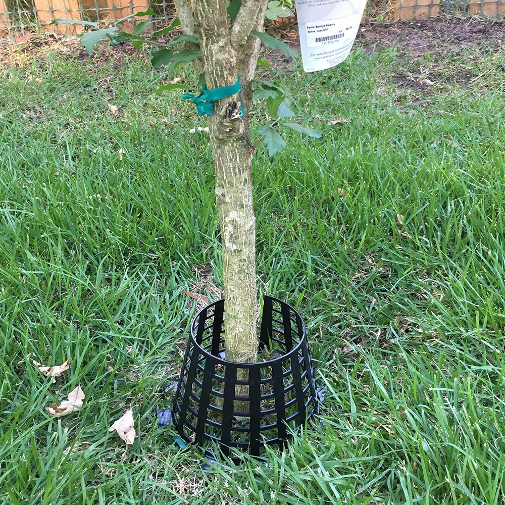 Plant Knight Tree Trunk Guard Protector for Garden Protection, 6 Pack (Black) - VMInnovations