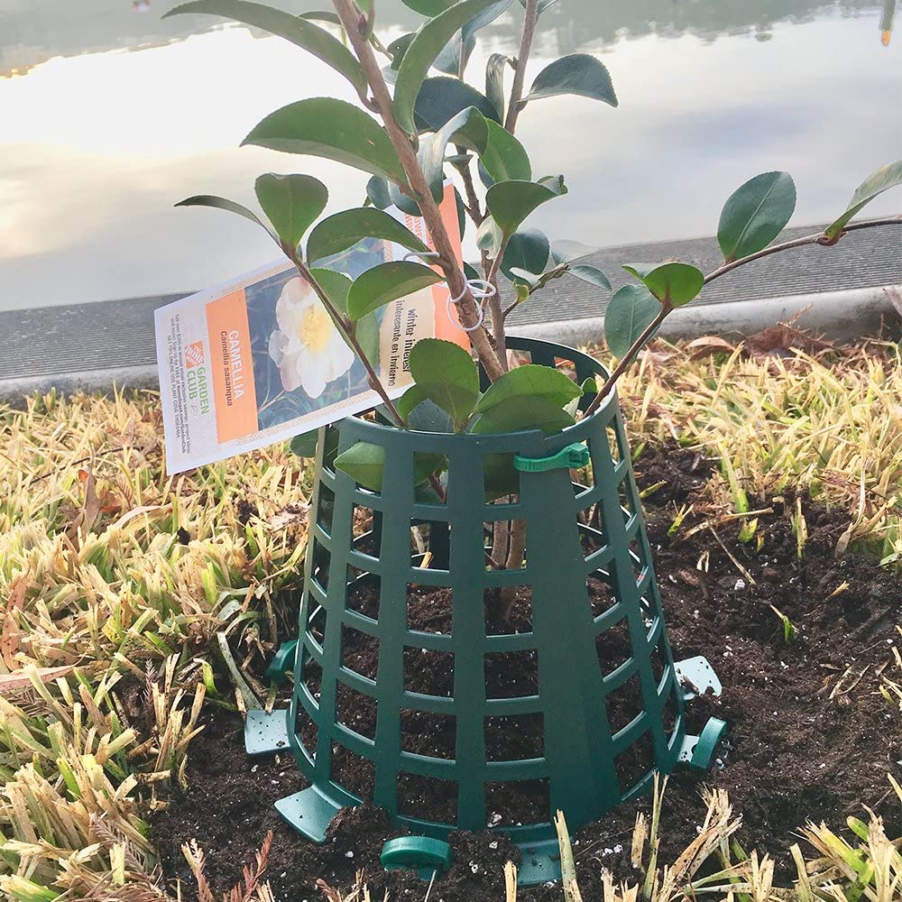 Plant Knight Tree Trunk Guard Protector for Garden Protection, 6 Pack (Green) - VMInnovations