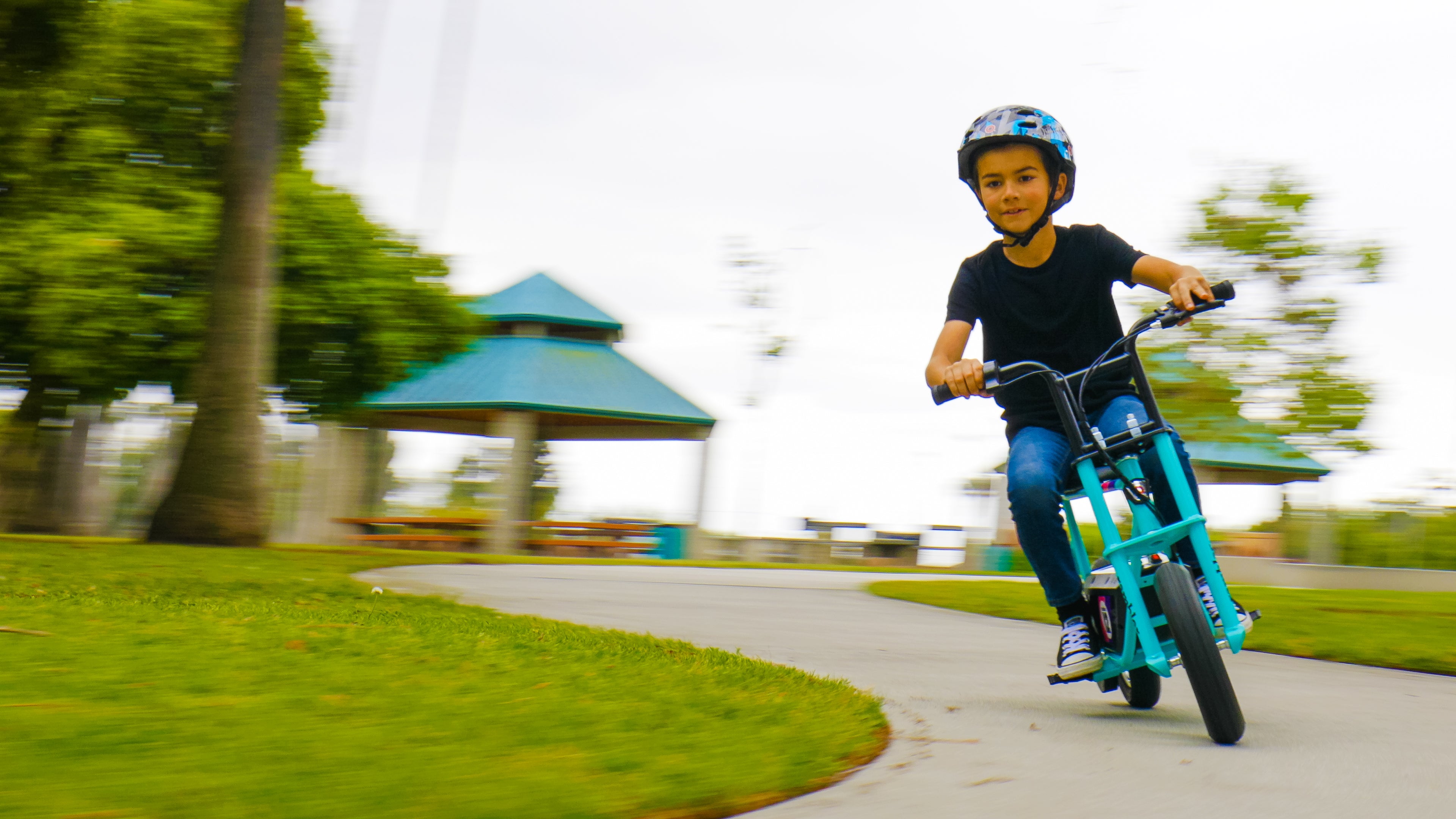 Razor 12 Electric Retro Minibike w/250W Motor & 24V Battery, Dark Blue (Used) - VMInnovations