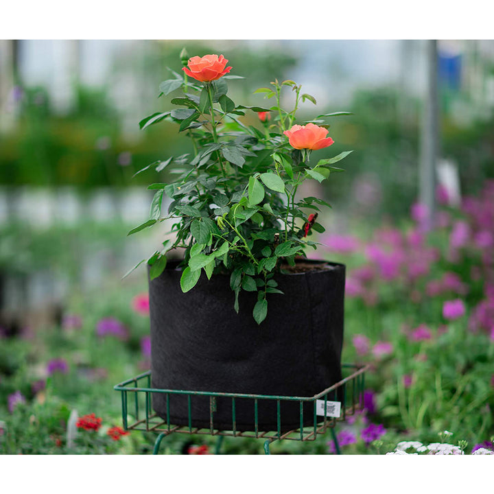 Smart Pot 30 Gallon Fabric Dirt Planter Flower Pot Soft Sided Container, Black - VMInnovations