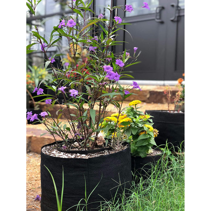 Smart Pot 30 Gallon Fabric Dirt Planter Flower Pot Soft Sided Container, Black - VMInnovations