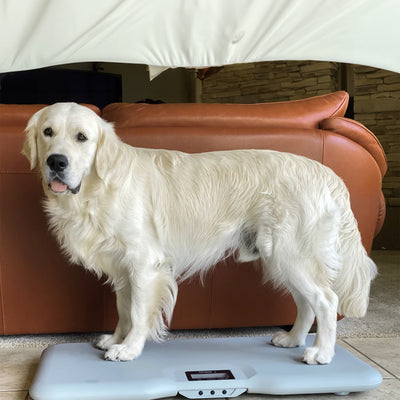 Redmon Extra Large Pet Scale Platform with Remote Display and Storage Carry Bag