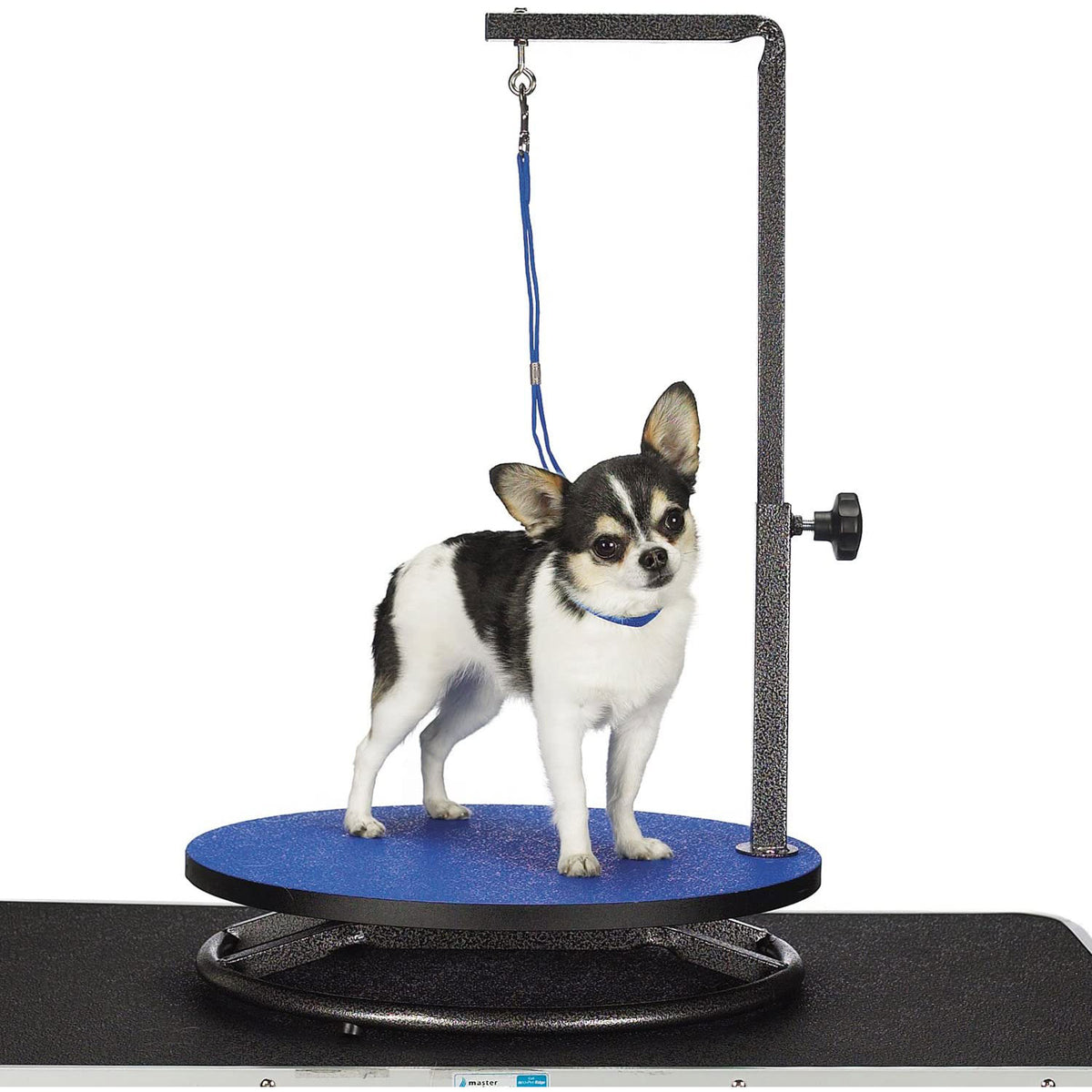 Master Equipment 19 Steel Adjustable Small Pet Dog Grooming Table (Open Box)