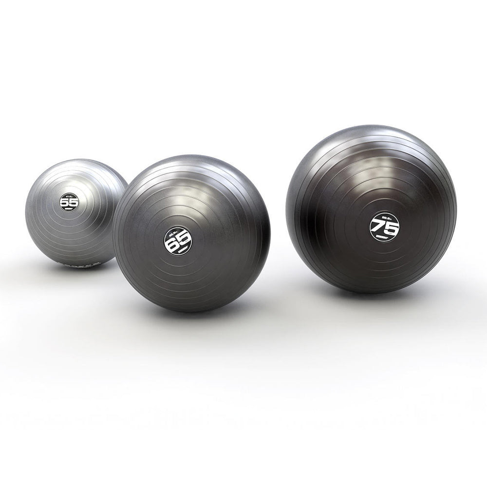 Escape Fitness 65 Cm Steadyball Pro Inflatable Exercise Workout Ball (Used)