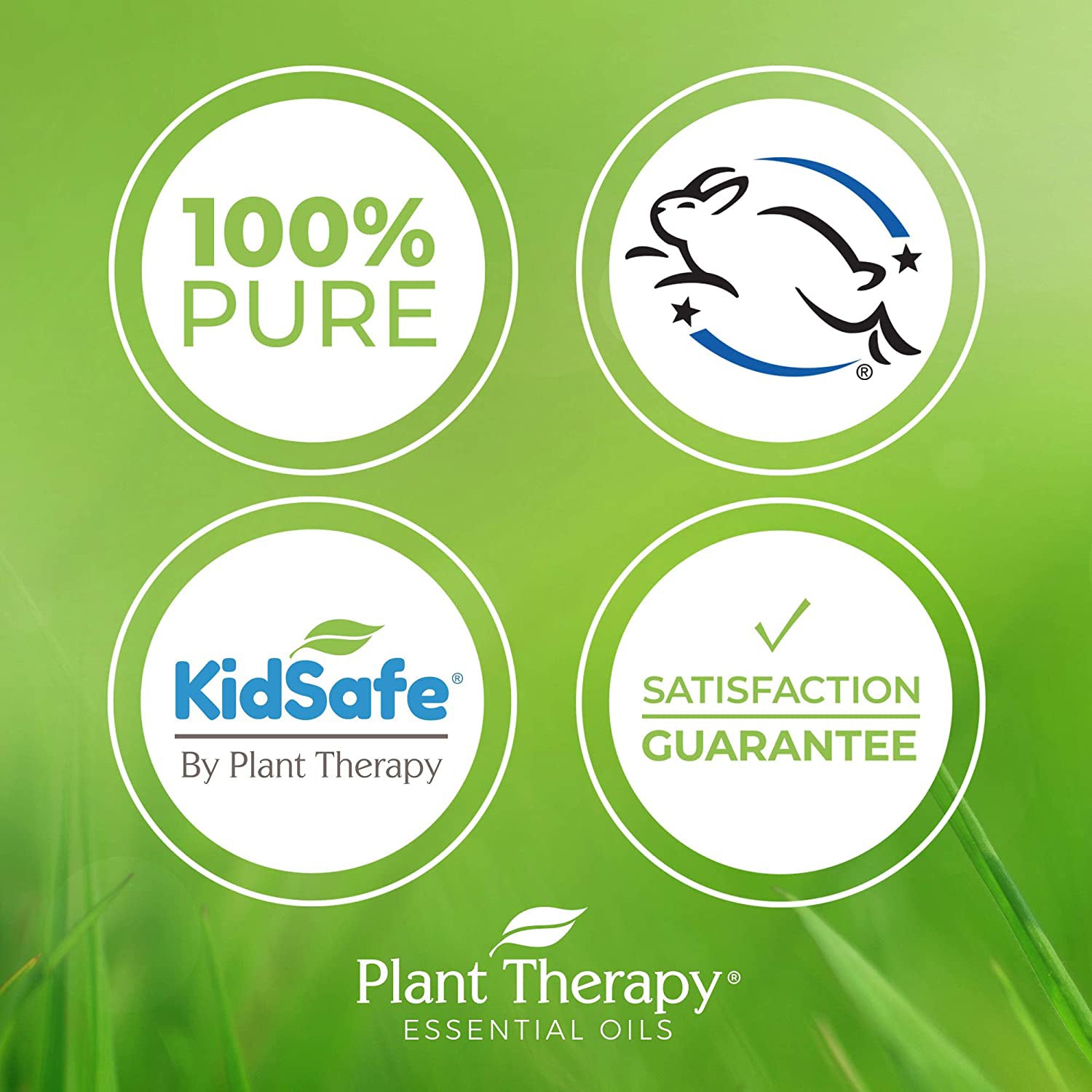Plant Therapy 10mL Essential Oils Wellness Sampler, 0.33 Oz, Set of 3 (3 Pack) - VMInnovations