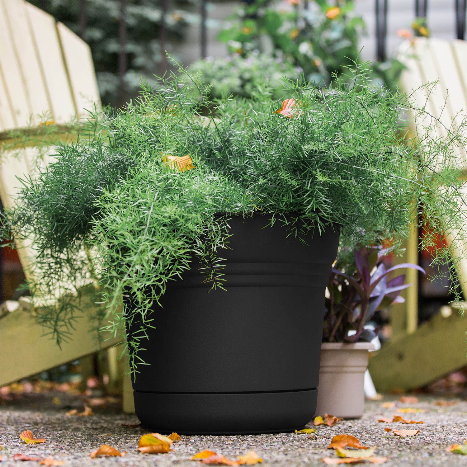 Bloem SP1200 Saturn Indoor Outdoor 12 Inch Planter Pot w/ Saucer, Black (3 Pack) - VMInnovations