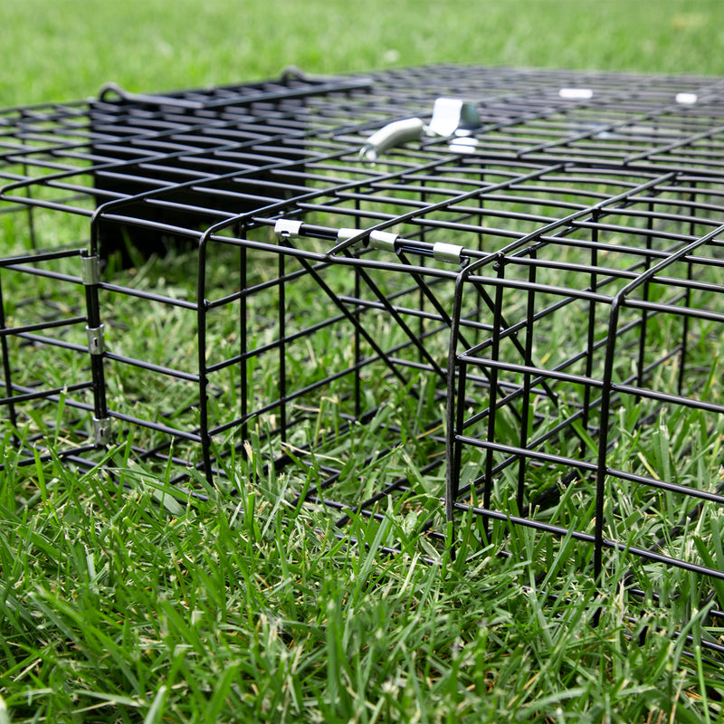 Rugged Ranch SQRTO Squirrelinator Trap CatchMor Live Animal 2 Door Metal Cage