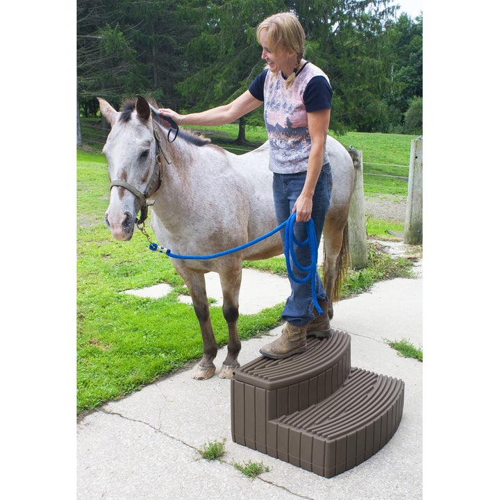 Good Ideas Stora Step Lightweight Plastic Outdoor & Indoor Storage Step, Oak - VMInnovations