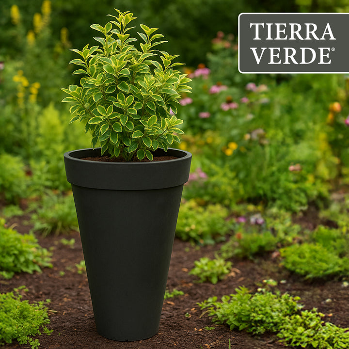 Tierra Verde Aria Indoor Outdoor Self Watering Tall Planter, 15"W x 26"H, Black - VMInnovations
