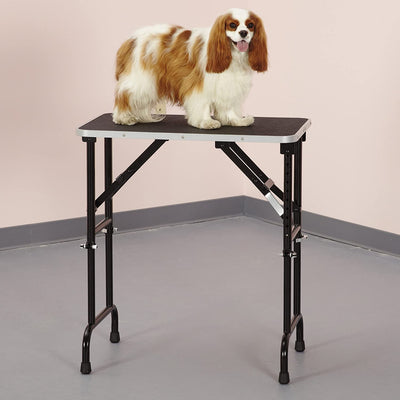 Pet Edge TP698 42 Foldable Portable Dog Cat Small Animal Grooming Table, Black