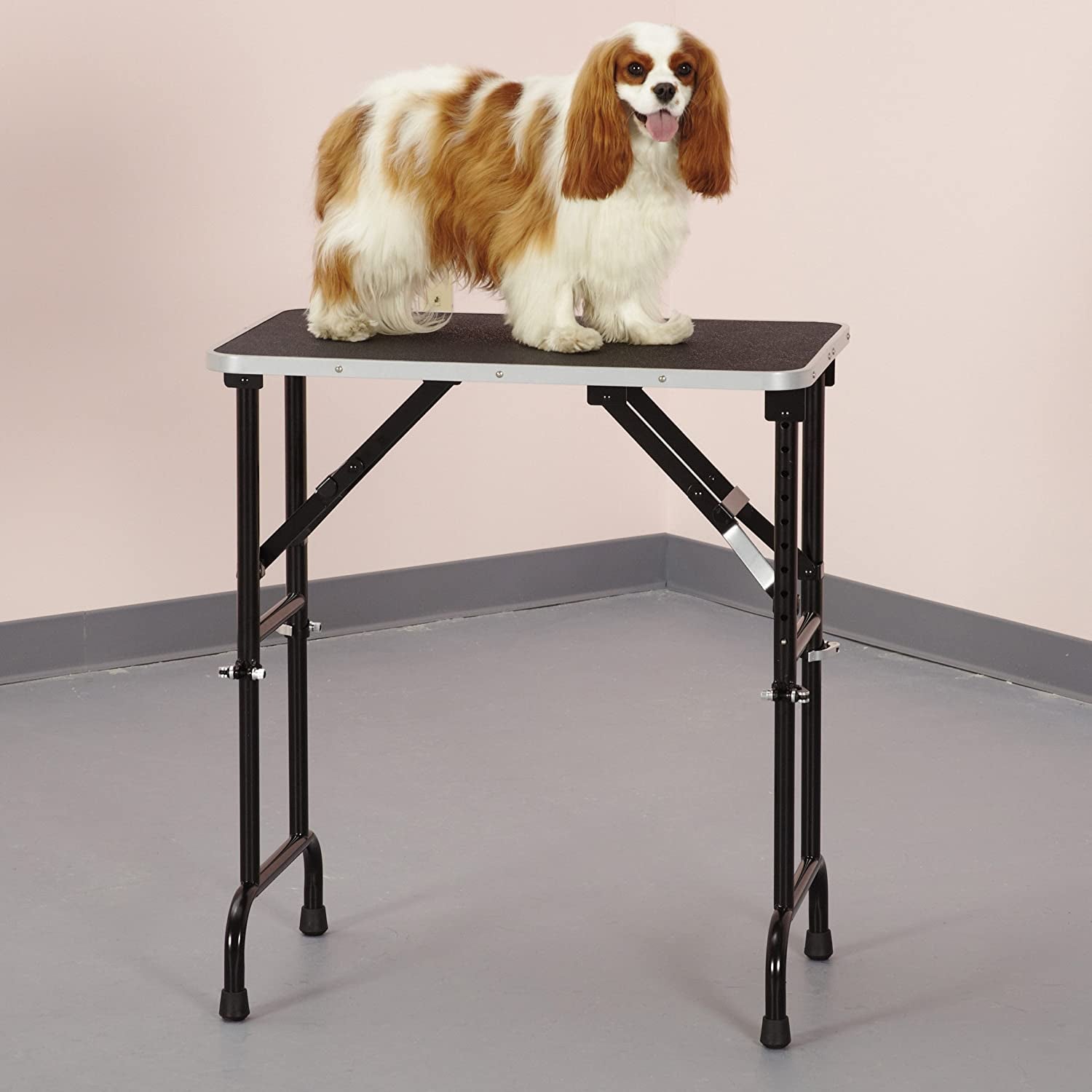 Master Equipment 48 Inch Folding Dog Cat Small Animal Grooming Table (Open Box)