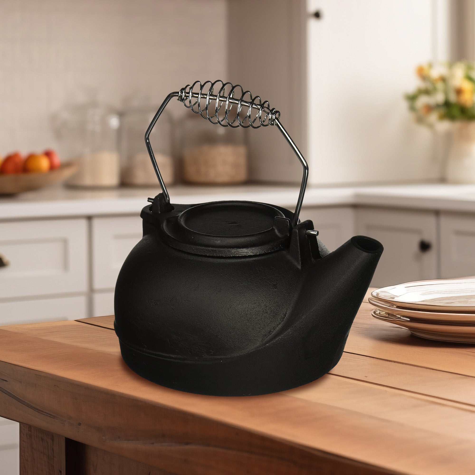 Panacea Cast Iron Stove Kettle Humidifier w/ Chrome Handle, Black (Open Box) - VMInnovations