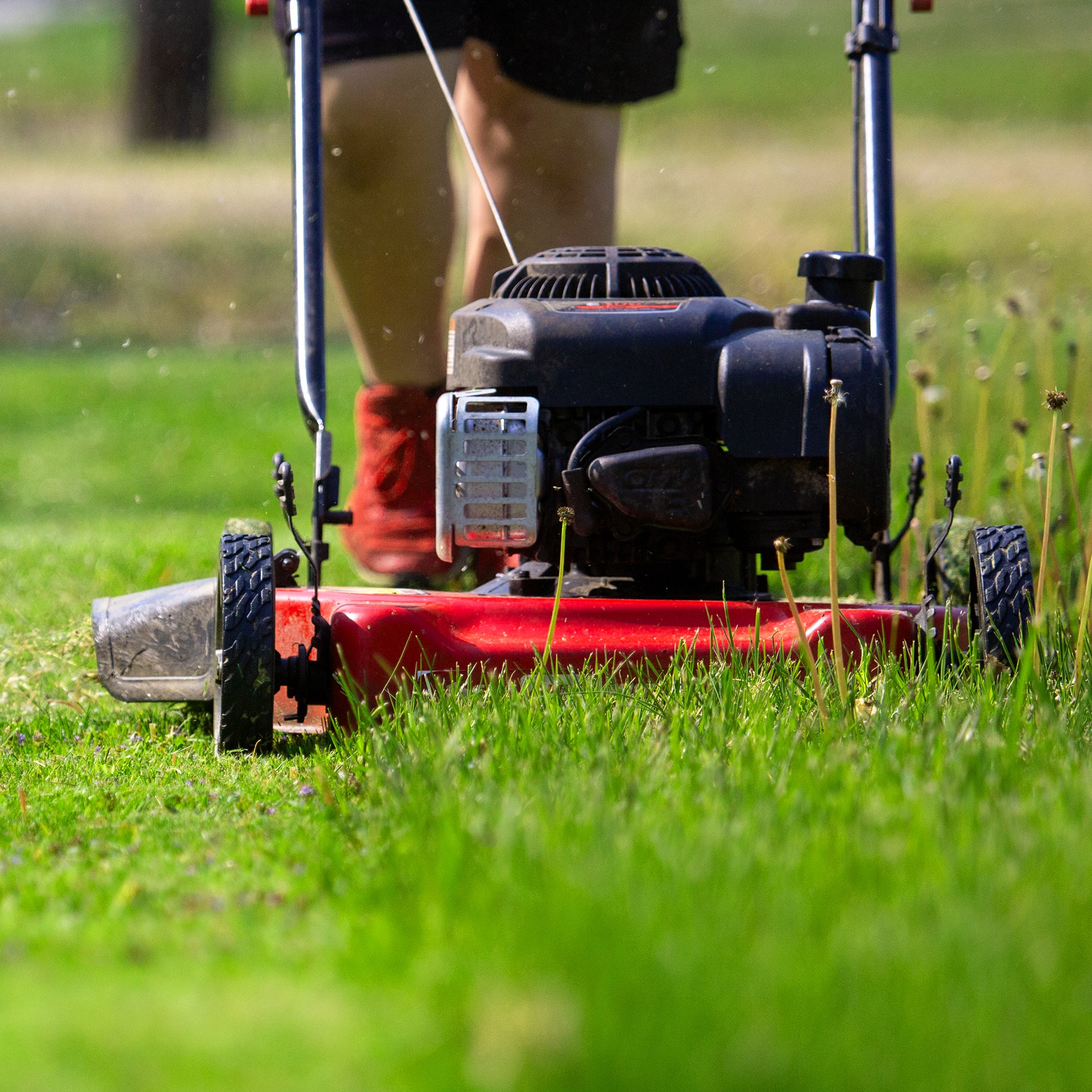Yard Machines Gas Powered Outdoor 20 Inch Deck Push Lawn Mower with Engine Oil - VMInnovations