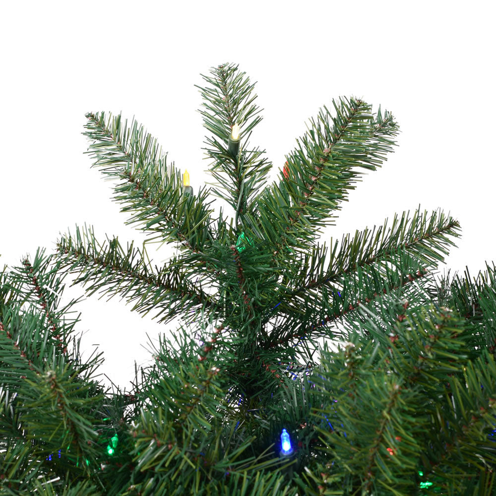 Vickerman Salem Pine 6.5 Ft Artificial Christmas Tree w/ Lights (Open Box)