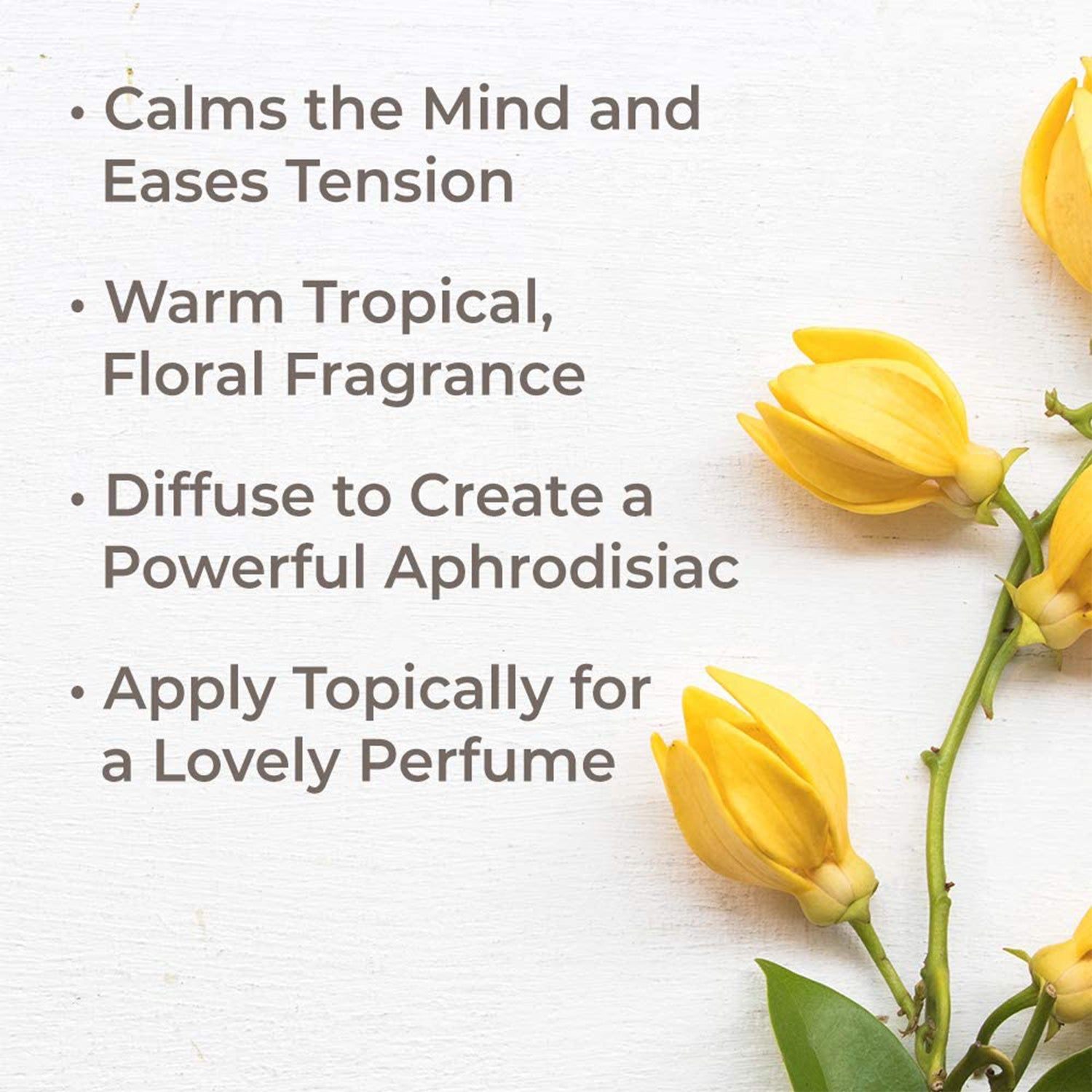 Plant Therapy Diffusible 30mL Complete Essential Oil, 1 Oz, Ylang Ylang (2 Pack) - VMInnovations