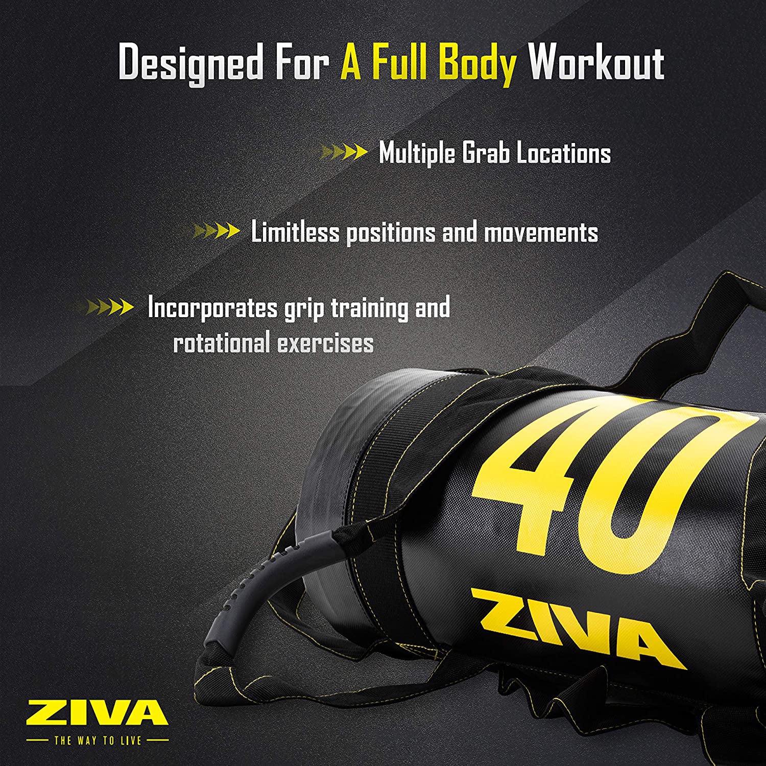 ZIVA 40 Pound Commercial Grade High Performance Training Power Core Sandbag - VMInnovations