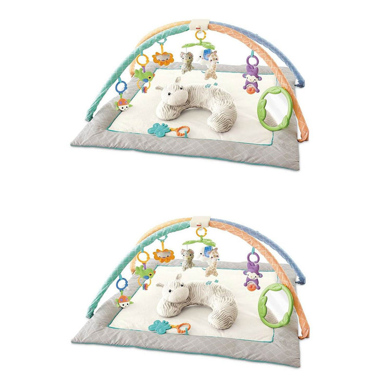 Fisher Price Safari Dreams Deluxe Comfort Baby Gym Play Mat with Music (2 Pack)