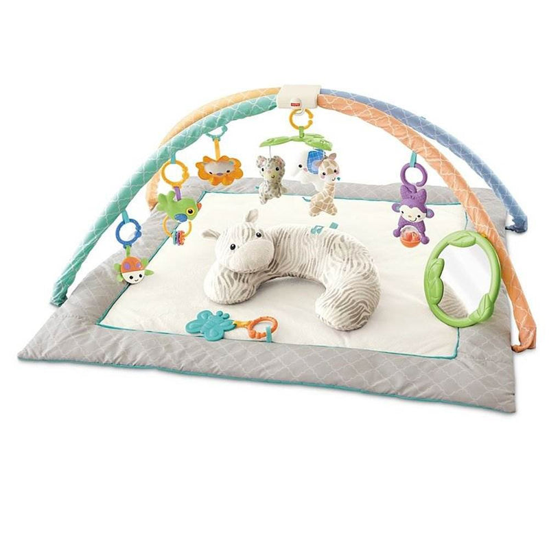 Fisher Price Safari Dreams Deluxe Comfort Baby Gym Play Mat with Music (2 Pack)