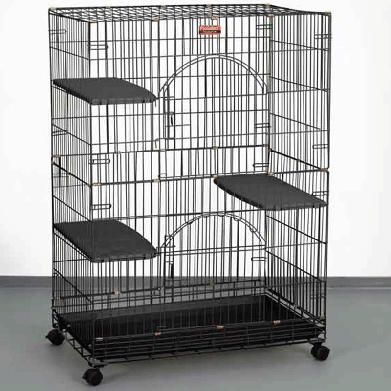 ProSelect 48 Inch Foldable Cat Cage with Dual Doors & Adjustable Perches, Black