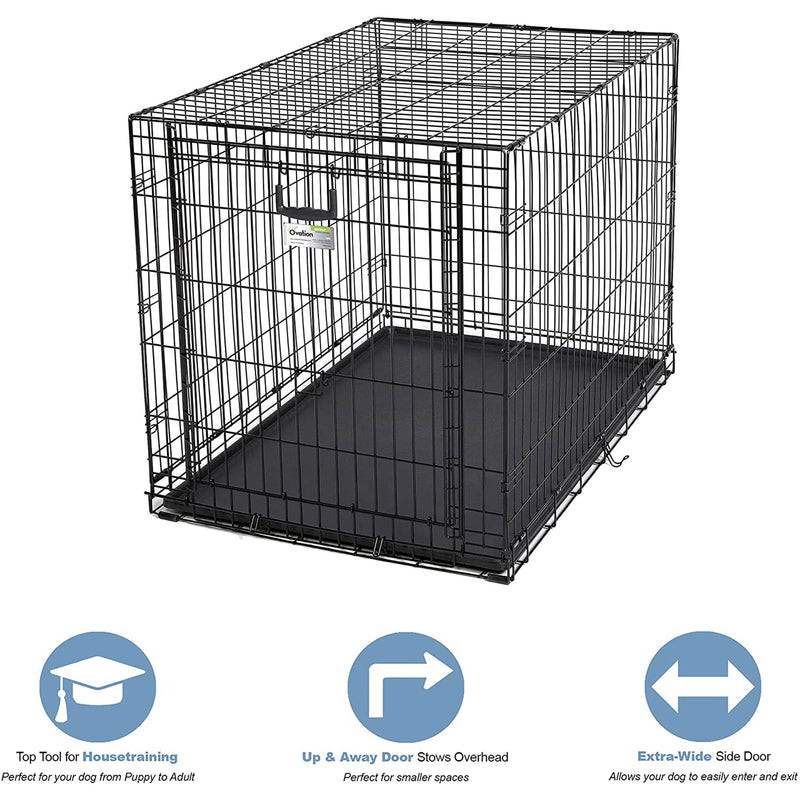 MidWest Homes For Pets 1942 Metal Dog Crate with Divider Panel and Pan, Black