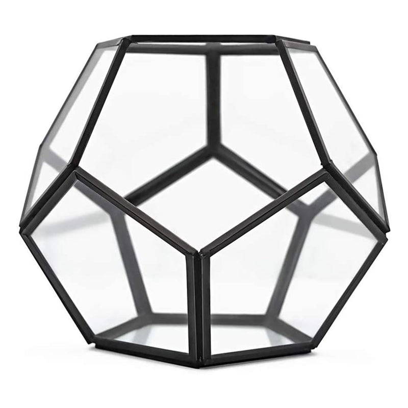 Banord Modern Geometric 6.5 Inch Tall Tabletop Terrarium with Black Metal Frame