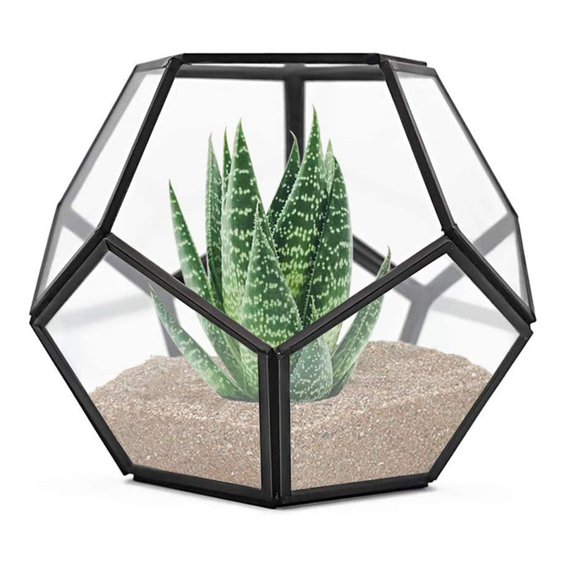Banord 7.8 Inch Geometric Container with Metallic Frame for Home Decor, Black