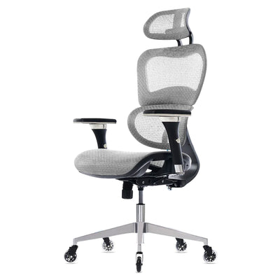 Oline ErgoPro Ergonomic Office Chair w/ Reclining Backrest & Blade Wheels, Gray