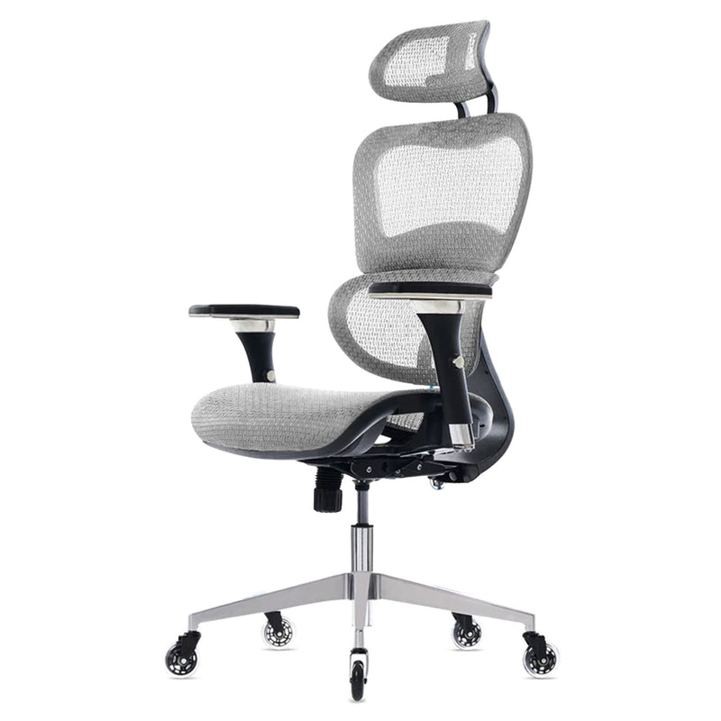 Oline ErgoPro Ergonomic Office Chair w/ Reclining Backrest & Blade Wheels, Gray