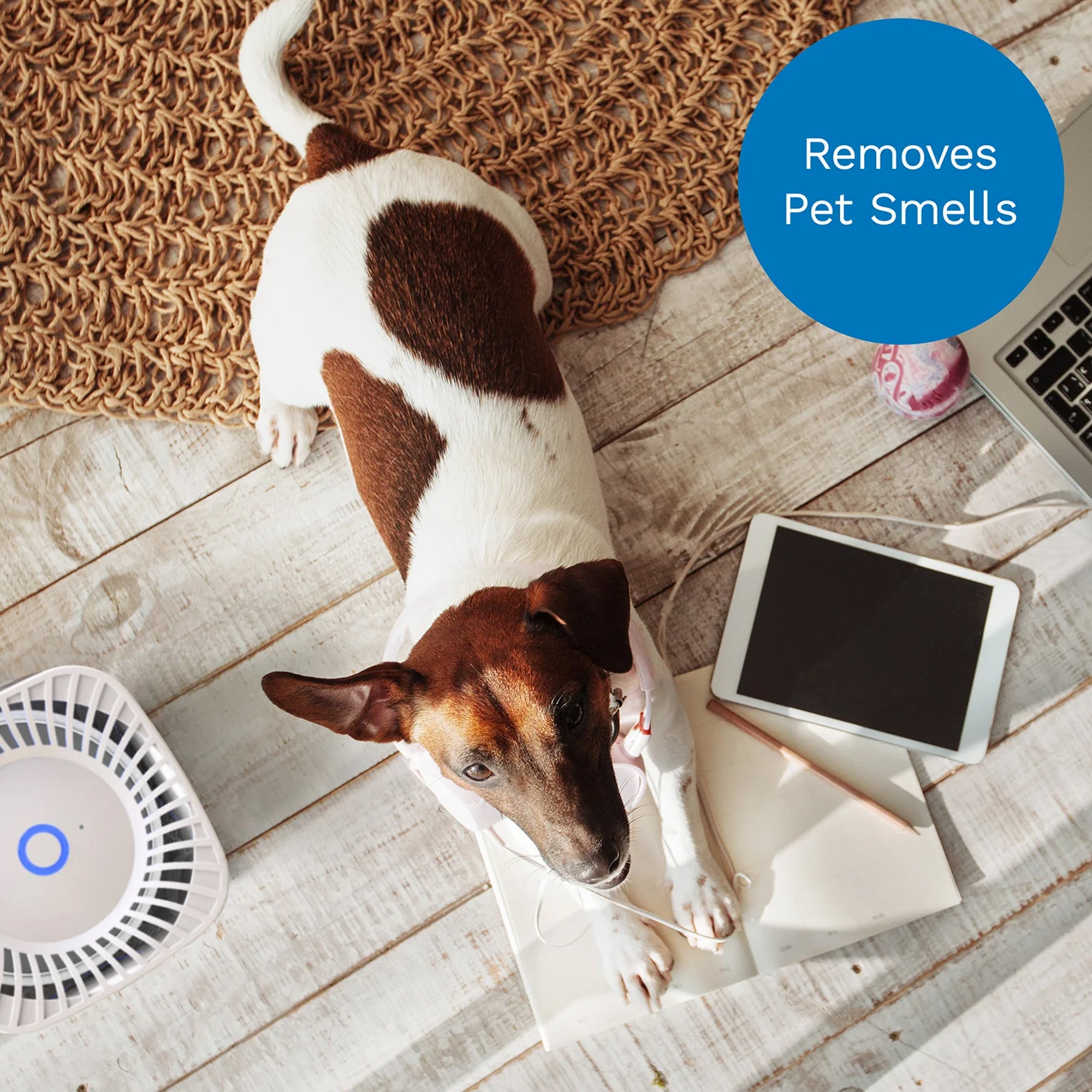 hOmeLabs 4-In-1 Indoor Compact Silent Air Purifier Filtration System Machine - VMInnovations