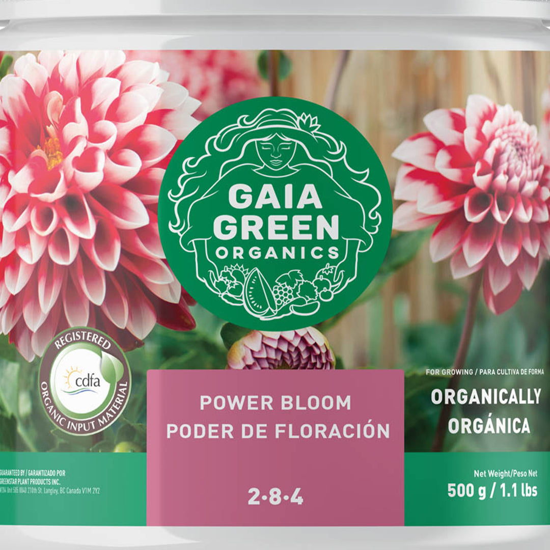 GAIA GREEN 500 G Power Bloom for Root Development, Flowering & Fruiting Plants - VMInnovations
