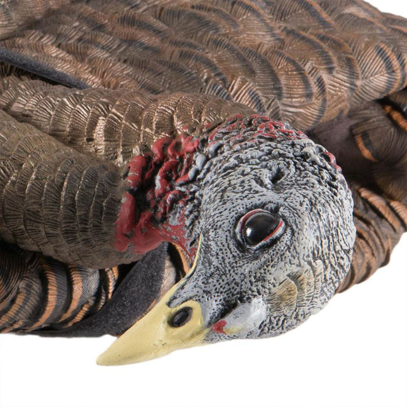 Avian-X Breeder Lifelike Collapsible Decoy LCD Folding Hen Turkey Hunting Decoy