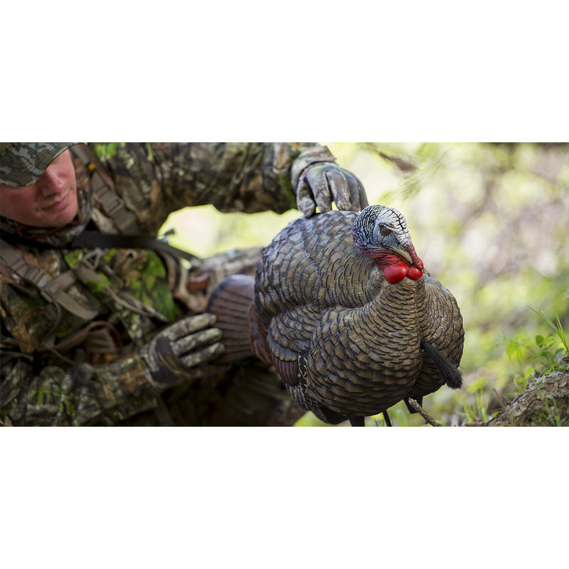 Avian X LCD Half Strut Jake Turkey Hunting Decoy w/ Stake, Carry Bag, & Strap